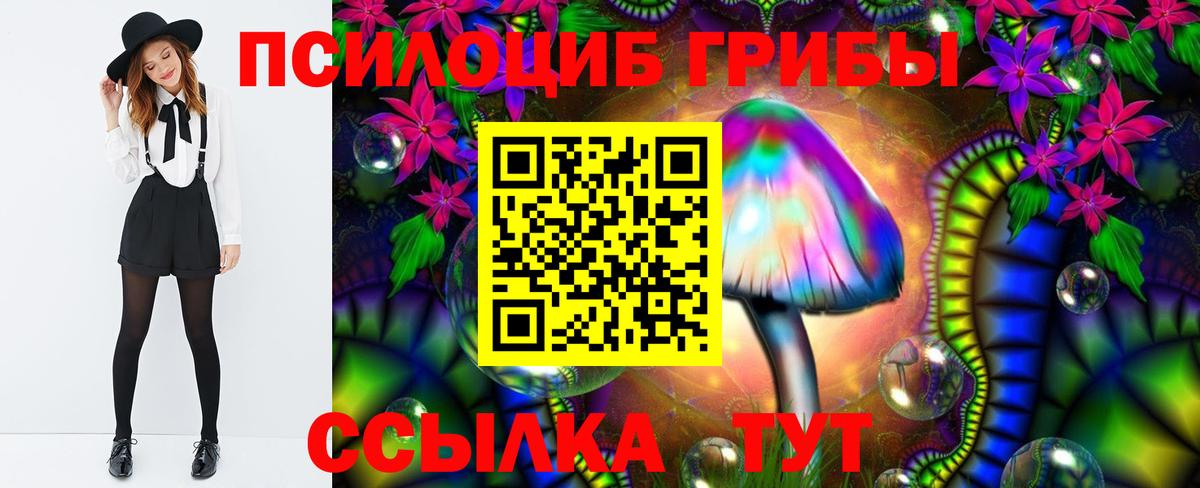 Псилоцибиновые грибы MAGIC MUSHROOMS Томск