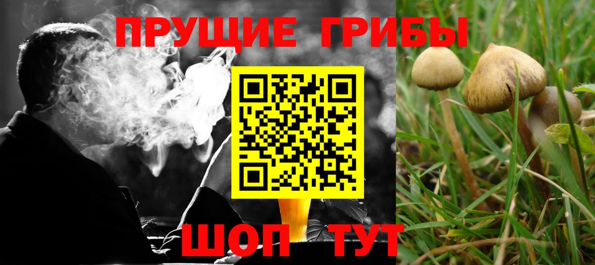 Галлюциногенные грибы прущие грибы  Галлюциногенные грибы мухоморы  Вход с VPN  Томск 